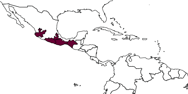 map of Blacus oaxaquensis     Sánchez & Wharton