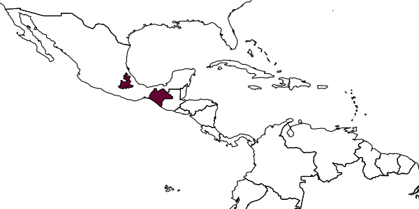 map of Neocorynura rubida     Smith-Pardo, 2005