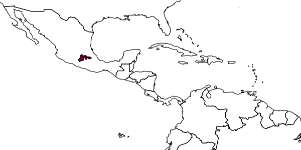 map of Epeolus odyneroides     Onuferko, 2019