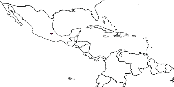 map of Phradis nanacamilpus     Khalaim & Ruíz-Cancino, 2018