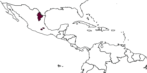 map of Lasioglossum xyriotropis     McGinley, 1986