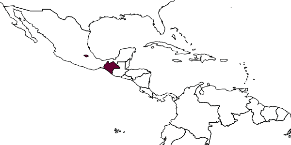 map of Cylloceria tropicana     Humala, 2012