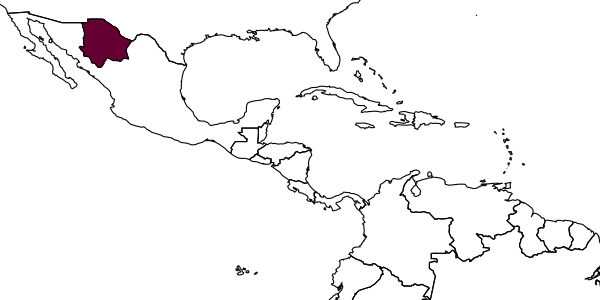 map of Temnothorax parralensis     Prebus, 2021