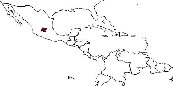 map of Protandrena trilobata     Timberlake, 1976