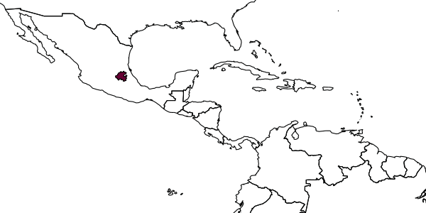 map of Mexalictus eickworti     Godínez-García, 1996