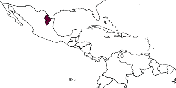 map of Perithous escondidus     Khalaim & Ruíz-Cancino, in Khalaim et al., 2023