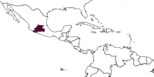 map of Synergus forcadellae     Lobato-Vila & Pujade-Villar, in Lobato-Vila et al., 2020