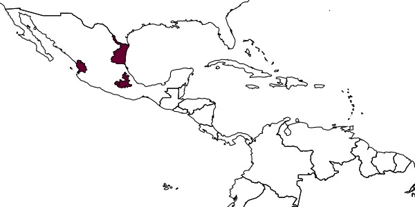 map of Tiphia yautepecae     Allen, 1971