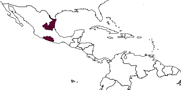 map of Entedononecremnus guamuchil     Myartseva, 2004