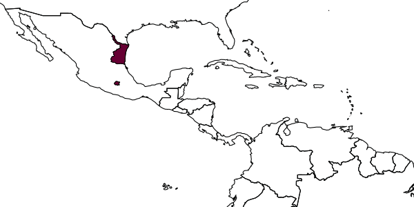 map of Aloencyrtus elisavetae     Trjapitzin & Ruiz-Cancino, 2000