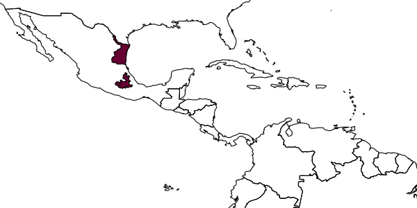 map of Opius divergens     Muesebeck, 1958