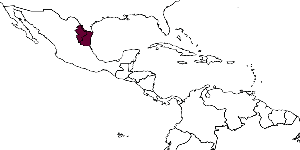 map of Phytodietus thompsoni     Kasparyan & Ruíz, 2004
