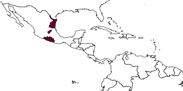 map of Encarsia lacuma     Myartseva & Evans, 2008