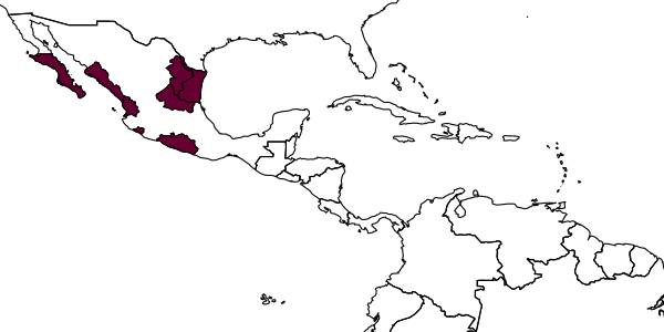 map of Eretmocerus comperei     Rose, 2000
