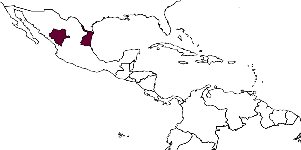 map of Clistopyga serricauda     Khalaim & Hernández, 2008