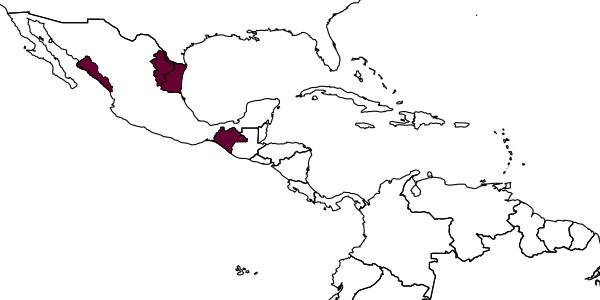 map of Messatoporus antennator     Kasparyan & Ruíz, 2005