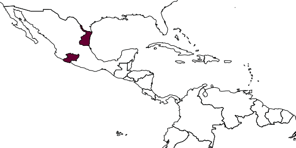 map of Tyndarichus ibarrai     Trjapitzin & Ruíz Cancino, 2001
