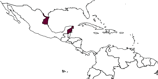 map of Baltazaria nodus     Kasparyan & Ruíz, 2005