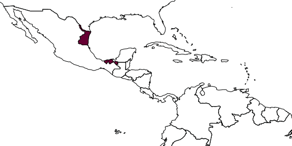 map of Dismodix brunniventris     Kasparyan & Ruíz, 2008
