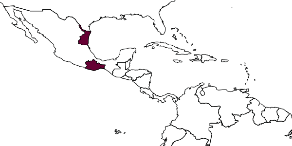 map of Perditorulus flexilis     Hansson, 1996