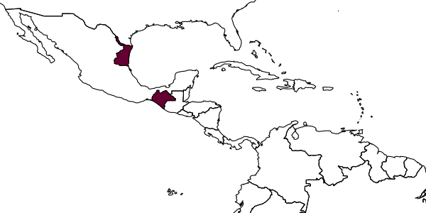 map of Encarsia tapachula     Myartseva, 2007
