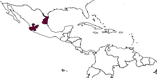 map of Liotryphon tamajalus     Khalaim & Ruíz-Cancino, 2022
