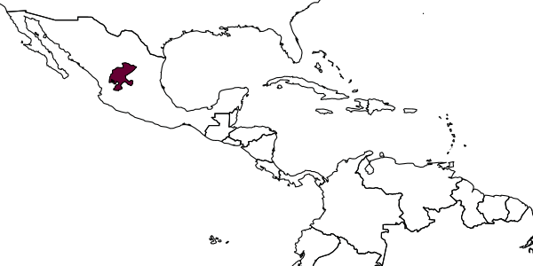 map of Protandrena fasciata     Timberlake, 1976
