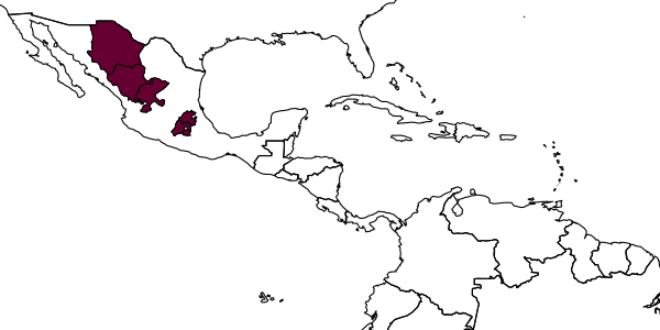 map of Pompilus solonus  teotihuacanus   Evans, 1953