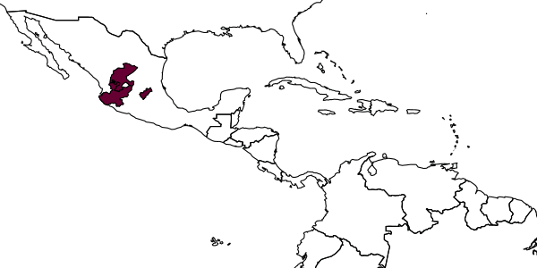 map of Agathirsia longilingua     Pucci & Sharkey, 2004
