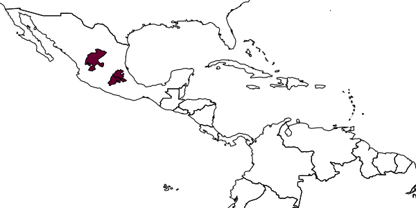 map of Synergus striatifrons     Lobato-Vila & Pujade-Villar, 2017