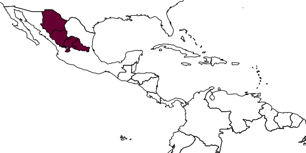 map of Psorthaspis macronotum  zacateca   Evans, 1954