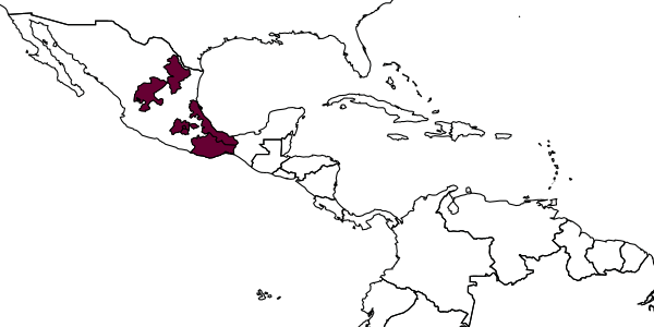 map of Synergus longiscapus     Lobato-Vila & Pujade-Villar, 2017