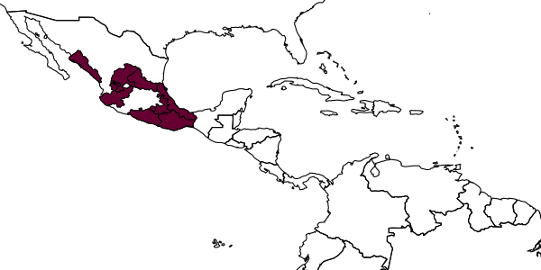 map of Chalicodoma quadridentata     (Mitchell, 1930)