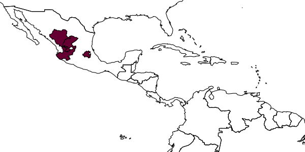 map of Ptilothrix zacateca     Flórez-Gómez & Danforth, 2023
