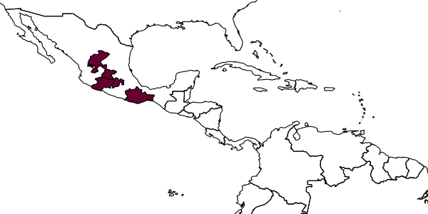 map of Synergus shorthousei     Lobato-Vila and Pujade-Villar, in Lobato-Vila et al., 2019