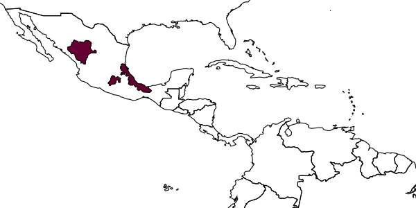 map of Mesochorus albicinctus     Dasch, 1974