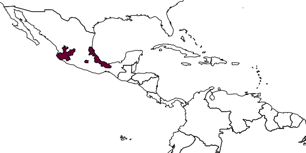 map of Caenaugochlora inermis     (Vachal, 1904)