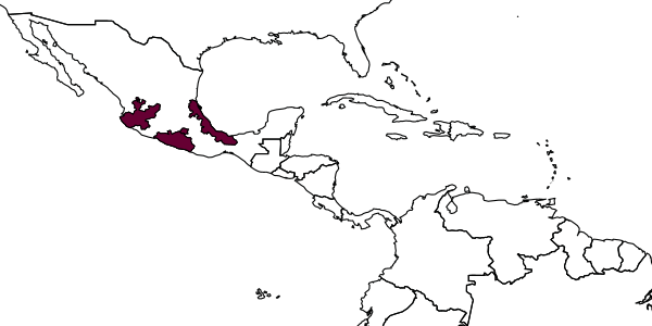 map of Xylocopa micheneri  decipiens   Hurd, 1978