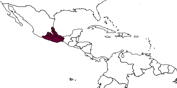 map of Plebeia mexica     Ayala, 1999