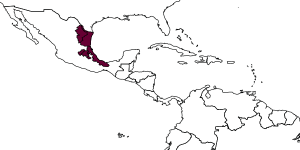 map of Myrmica mexicana     Wheeler, 1914