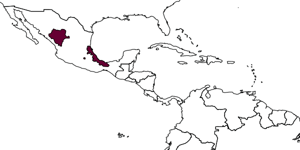 map of Mesochorus zonatus     Dasch, 1974