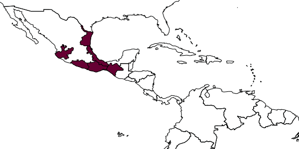 map of Perditorulus unispinus     Hansson, 1996