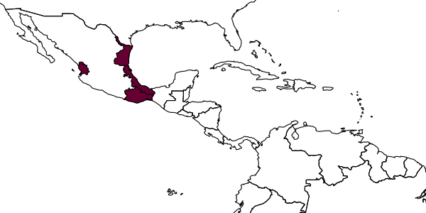 map of Orthocentrus kasparyani     Humala, 2019