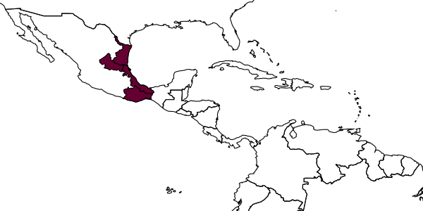 map of Lamprocryptus nigrans     Kasparyan & Ruíz-Cancino, 2005