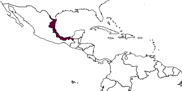 map of Rhinium rubrum     Kasparyan & Ruíz, 2008