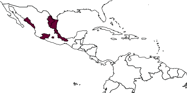 map of Coccophagus tobiasi     Myartseva, 2004