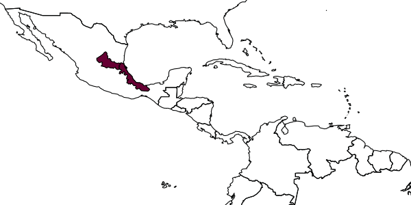 map of Encarsia flaviceps     Myartseva, 2007