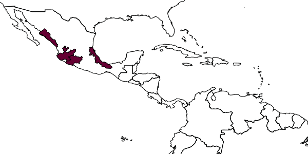 map of Dicarnosis ripariensis     Kerrich, 1978