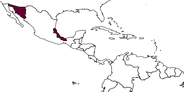 map of Hylaeus aztecus     (Cresson, 1869)