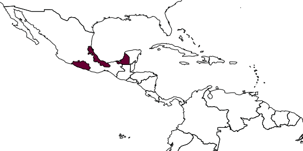 map of Coccophagus neocomperei     Myartseva & Ruíz, 2005